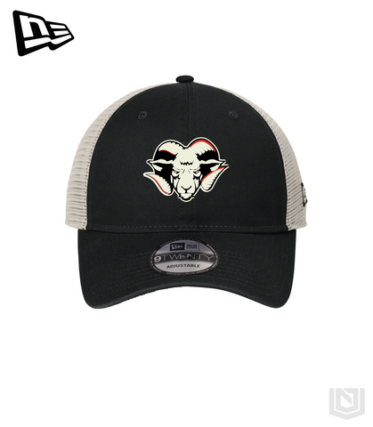 NC Hockey - Unstructured Mesh