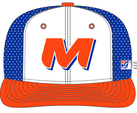 CT Mets - Players Hat Stretch Fit Fall 2022 Order